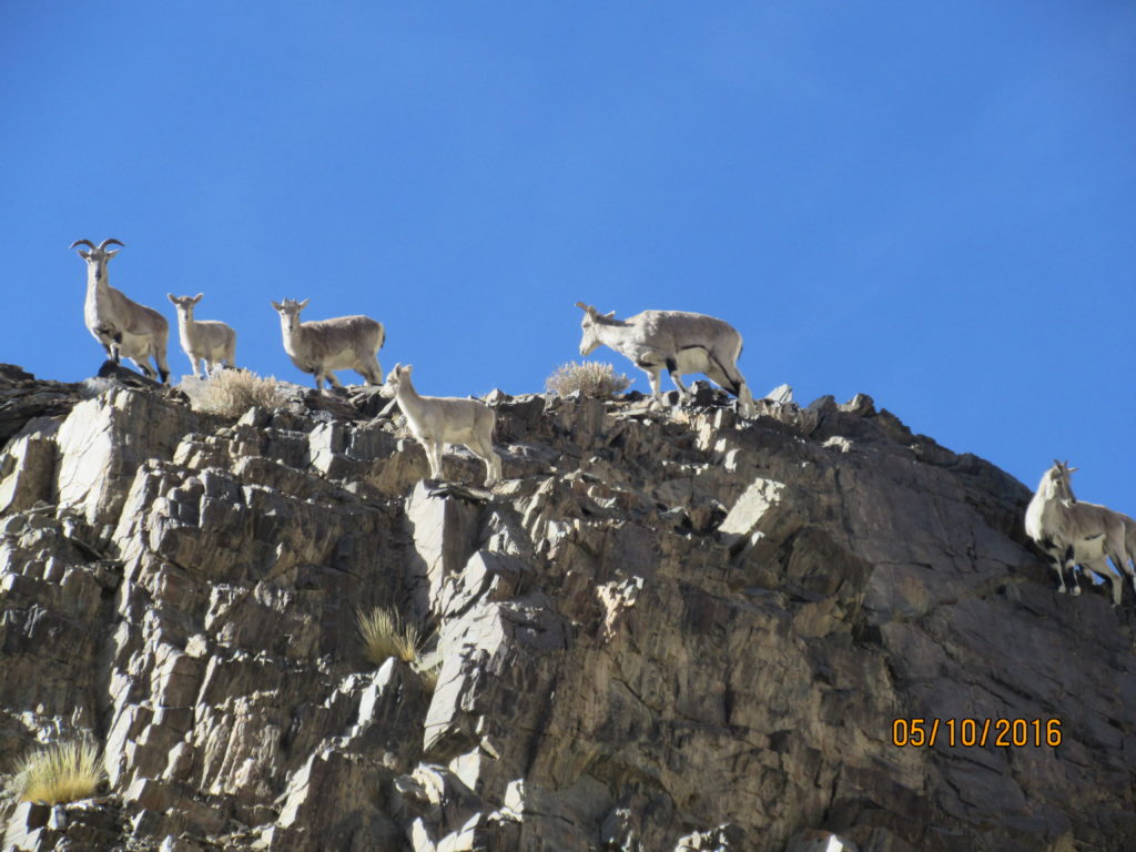 Ladakh